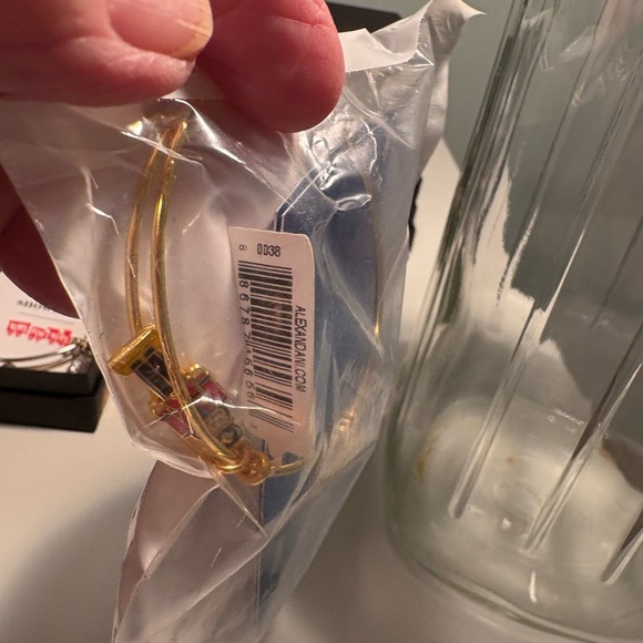 Alex and Ani Gold Nutcracker Bracelet - Picture 5 of 10